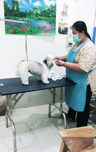 อาบน้ำตัดขนน้องหมา นครสวรรค์